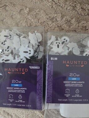 White Ghost LED Wire Lights - 20 ct 2 Packs